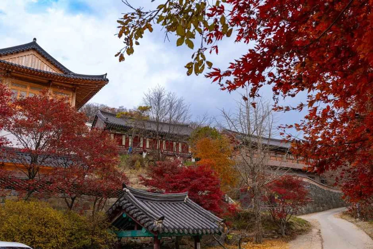 무주 대중교통 여행 (출처 : 한국관광공사)