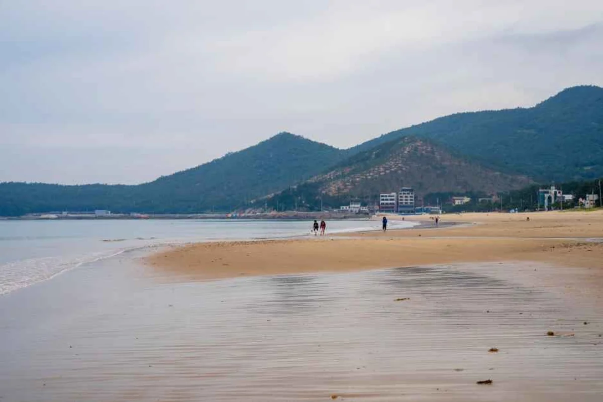 남해 상상양떼목장 편백숲 - 남해여행 여행