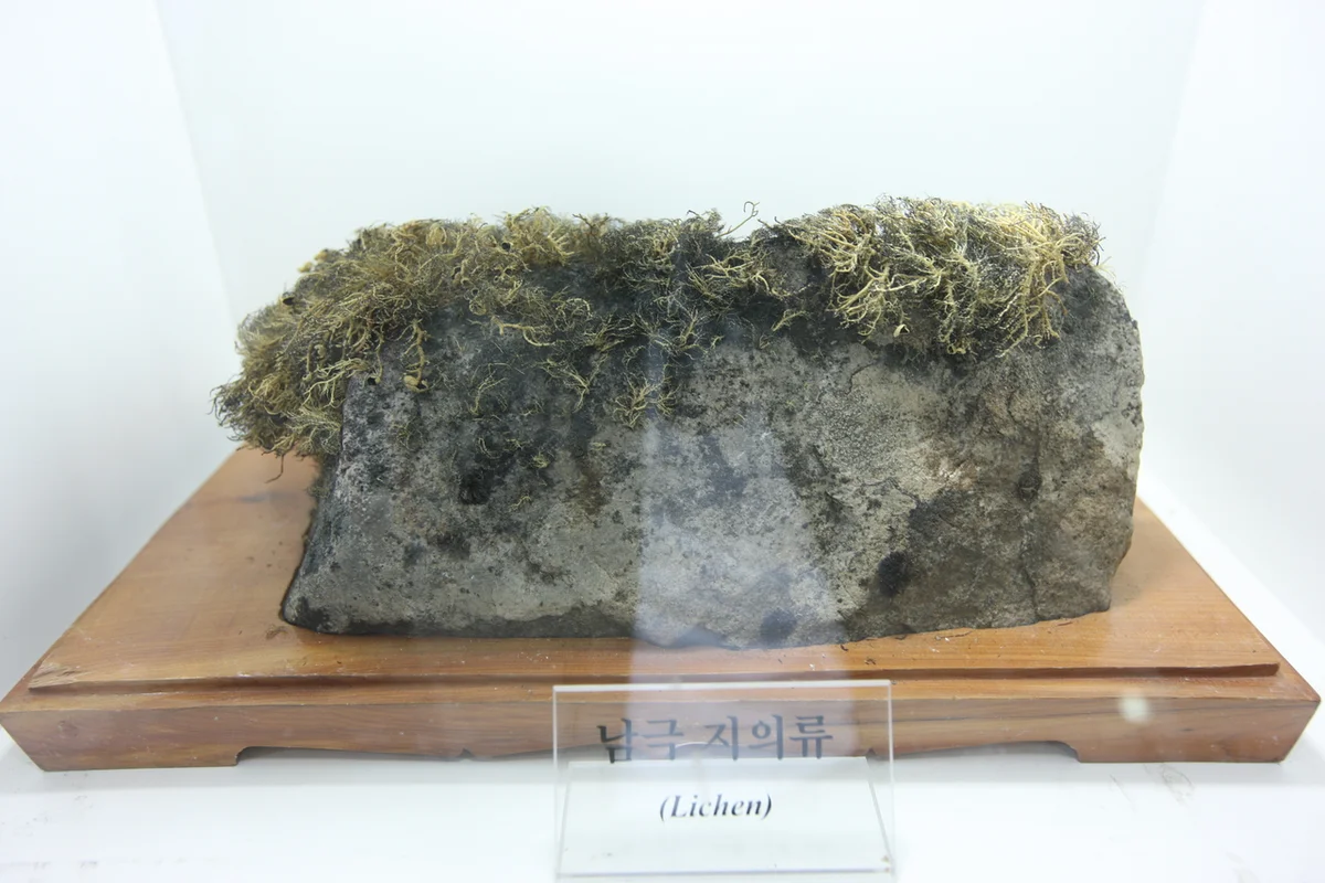 송도해수온천 송해온 - 송도여행 여행