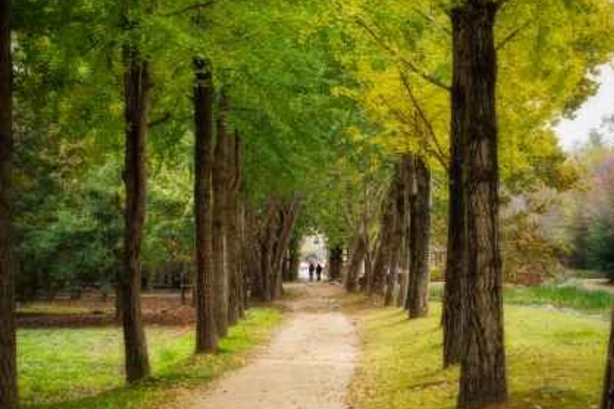 경기도국민안전체험관 - 오산여행 여행