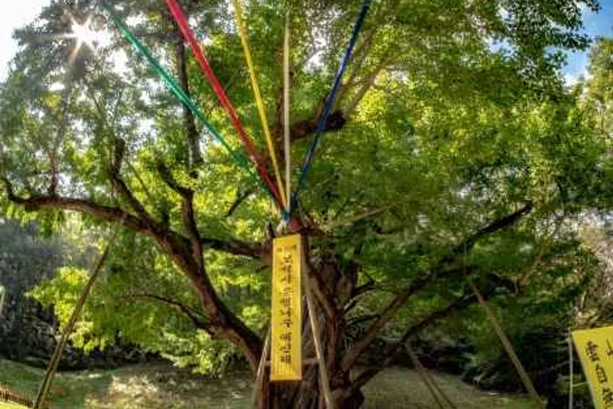 금산향교 - 금산여행 여행